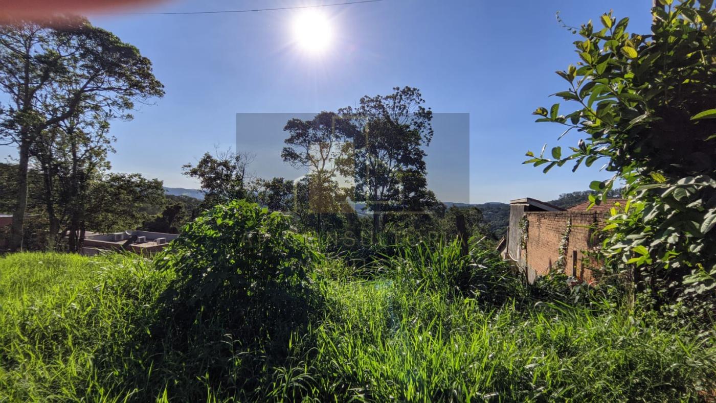 Terreno, 2771 m² - Foto 4